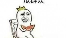 贵圈吃瓜网红,吃瓜群众眼中的娱乐圈风云人物